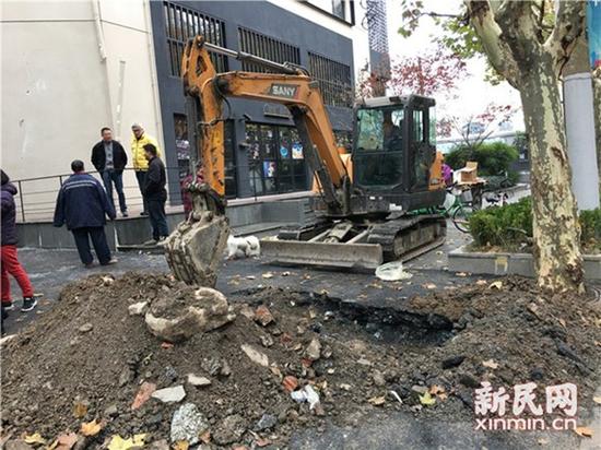 圖片說明：挖掘機(jī)現(xiàn)場作業(yè) 圖片均為新民晚報新民網(wǎng)陳浩攝