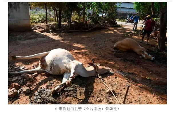 1594347119360997.png image.png