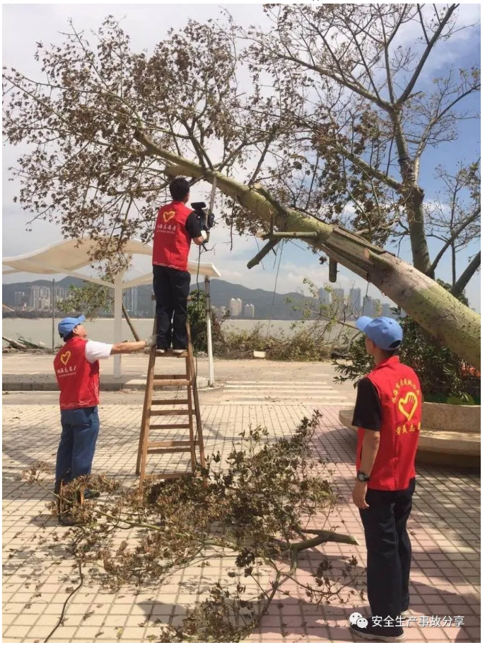 1601175830806306.png image.png